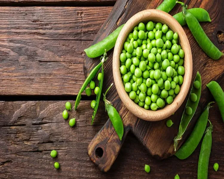 کنسرو نخودفرنگی و ذرت | قیمت مناسب خرید عالی