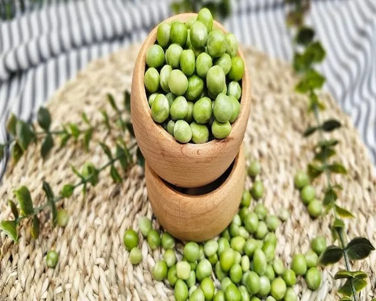 خرید کنسرو نخود فرنگی سبز با قیمت استثنایی