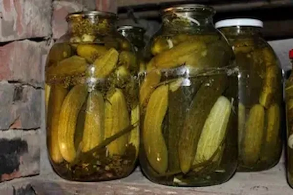 قیمت خرید کنسرو خیارشور + مزایا و معایب