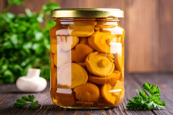 خرید کنسرو قارچ اسلایس اعلا با قیمت استثنایی